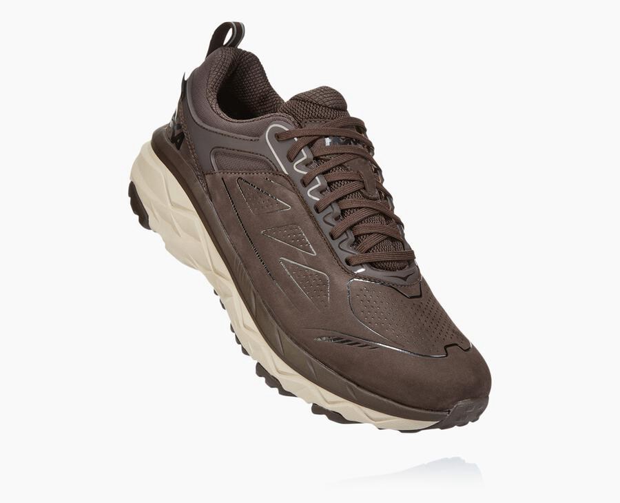 Trail Shoes Mens - Hoka One One Challenger Low GORE-TEX - Brown - CESYAZR-94